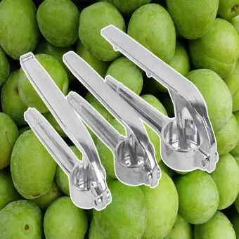 매실 씨 제거 후 매실청 매실장아찌 담그는 실전 방법_36