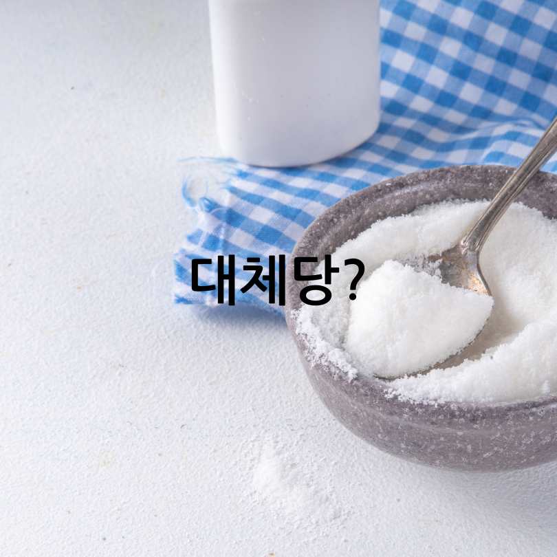 설탕 대신 대체당