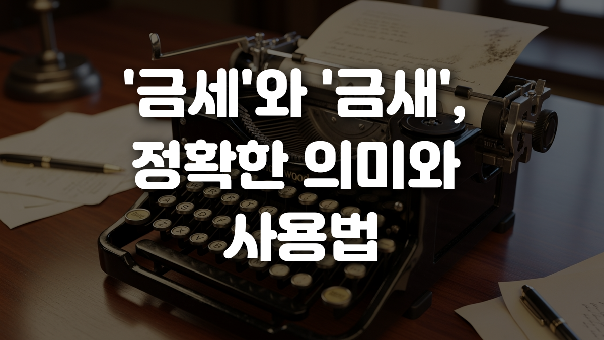 금세 와 금새 정확한 의미와 사용법