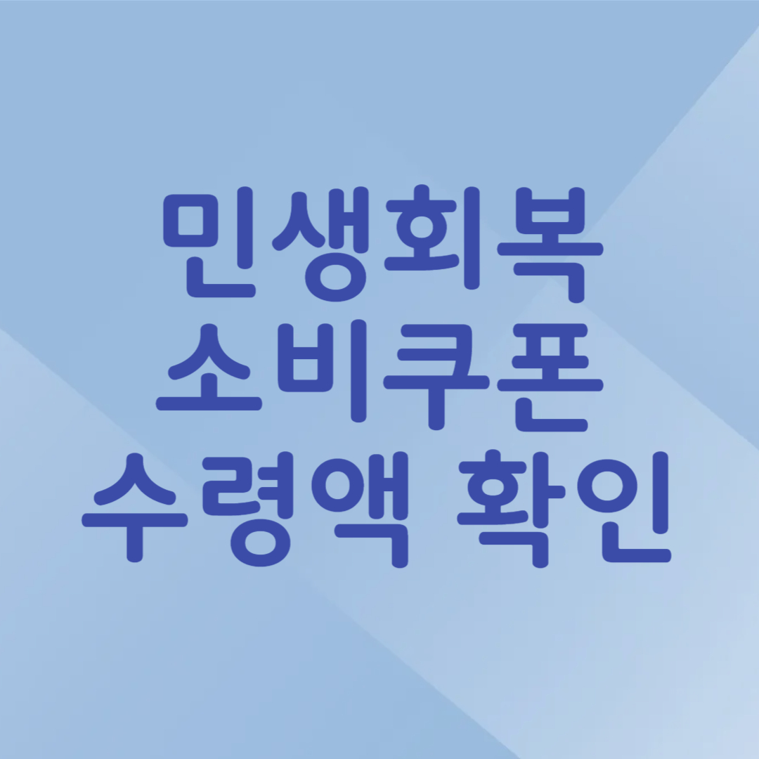 민생회복 소비쿠폰 예상 수령액 확인
