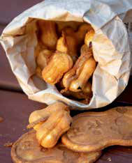 [4월~5월 축제] 고창 1박 2일 감성 여행❘청보리밭 축제, 고창 읍성, 선운사, 구시포해변 승마체험까지