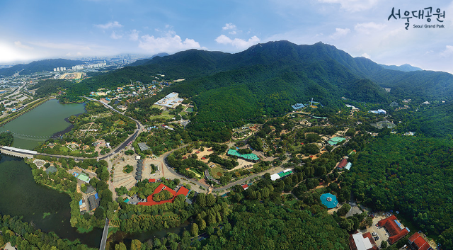 서울근교벚꽃명소