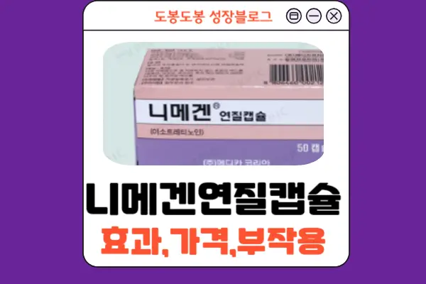 니메겐연질캡슐 안내 이미지