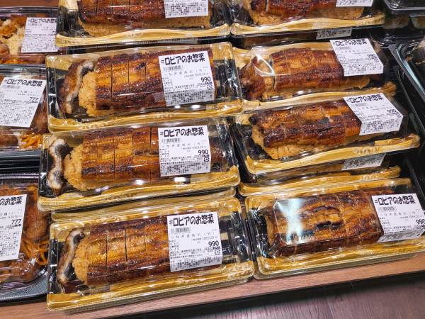 로피아-장어도시락2