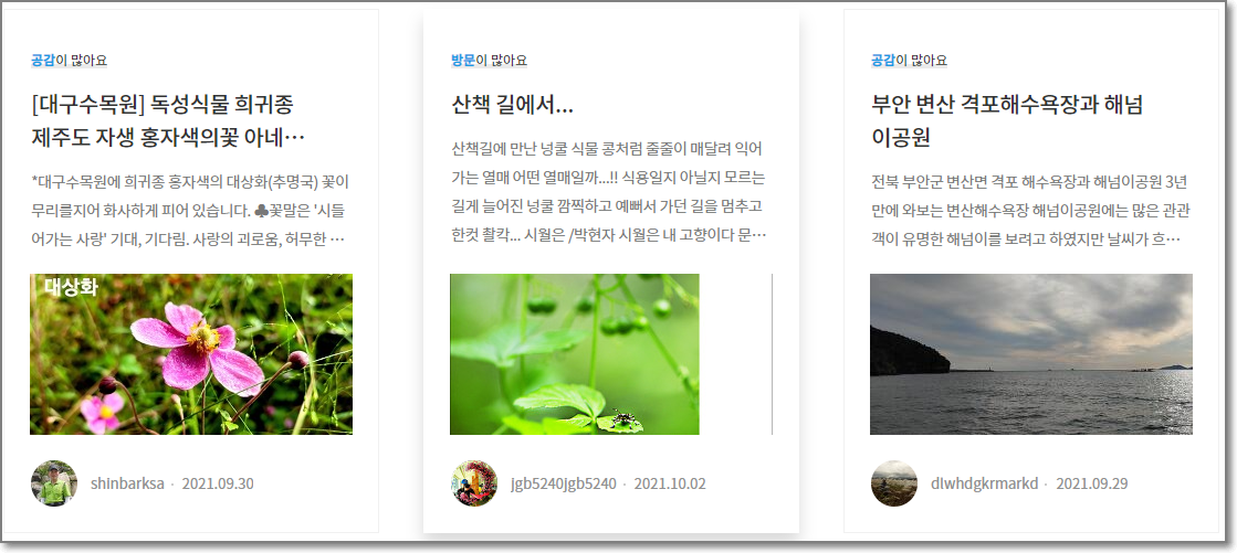 다음 블로그들