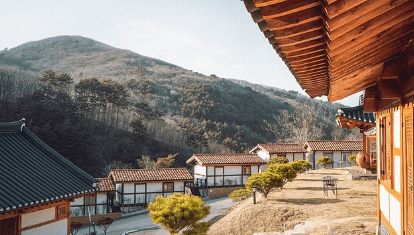 청와대 관람신청