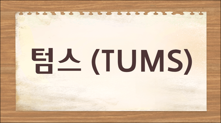 텀스 소화제 효능 부작용