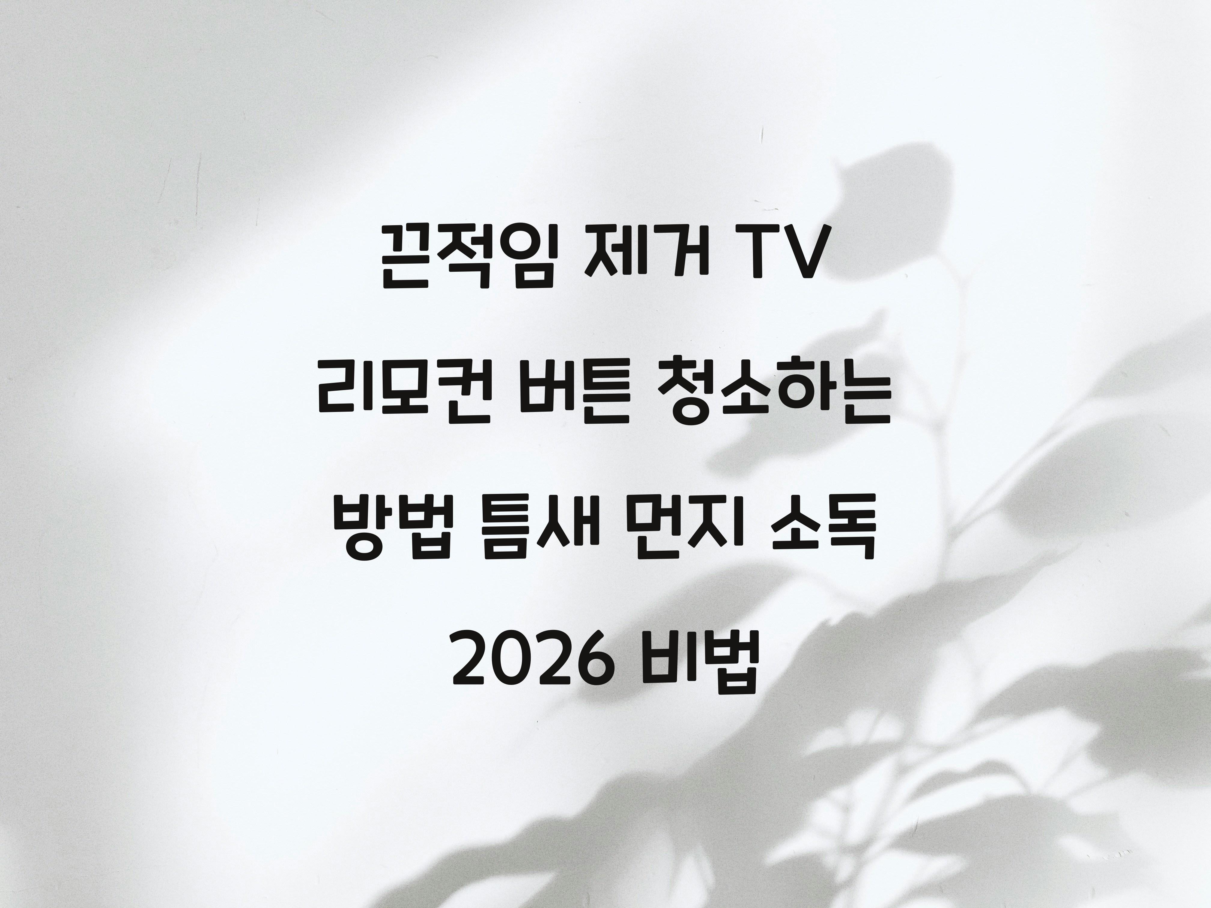 TV 리모컨 버튼 청소하는 방법