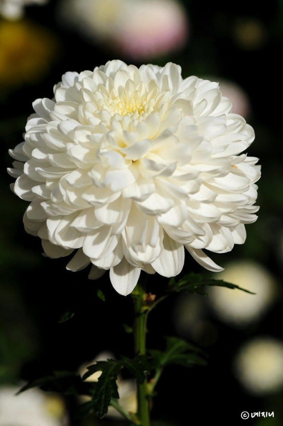 부모님 사망 후 해야하는 행정 처리 5가지