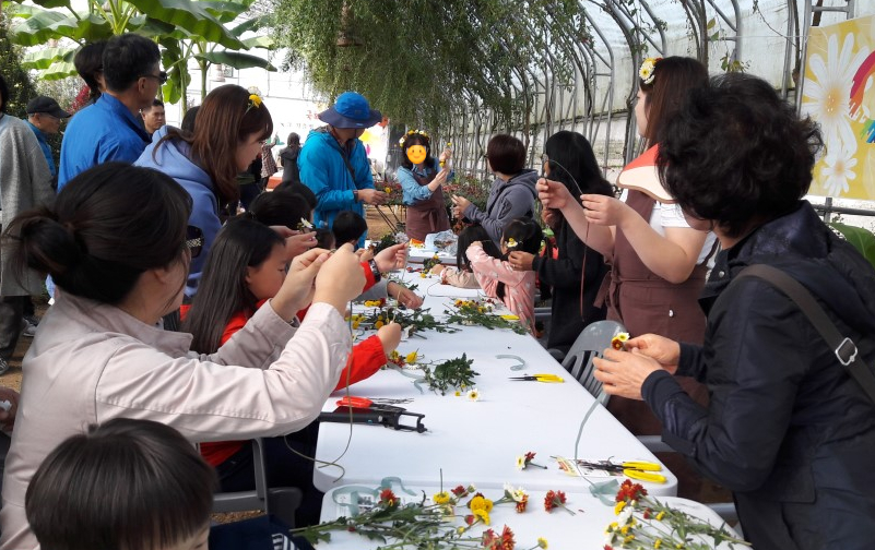 안내에 따라 국화머리띠를 만드는 사람들&amp;#44; 테이블 위 국화꽃