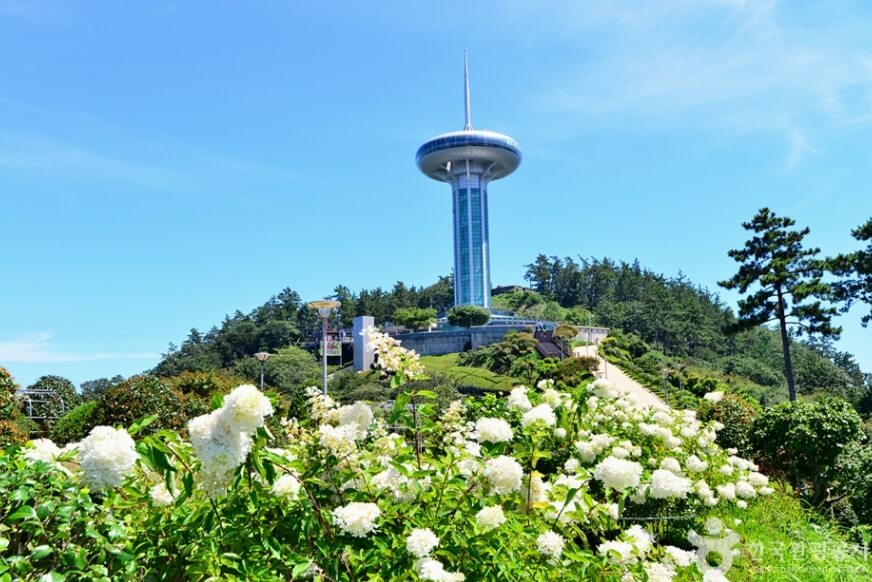 완도 가볼만한곳 베스트 10