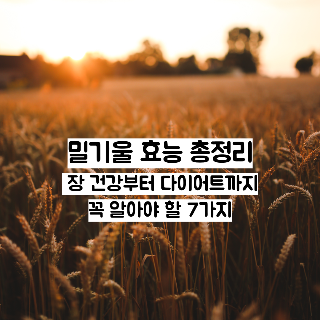 밀기울 효능 총정리 &ndash; 장 건강부터 다이어트까지 꼭 알아야 할 7가지