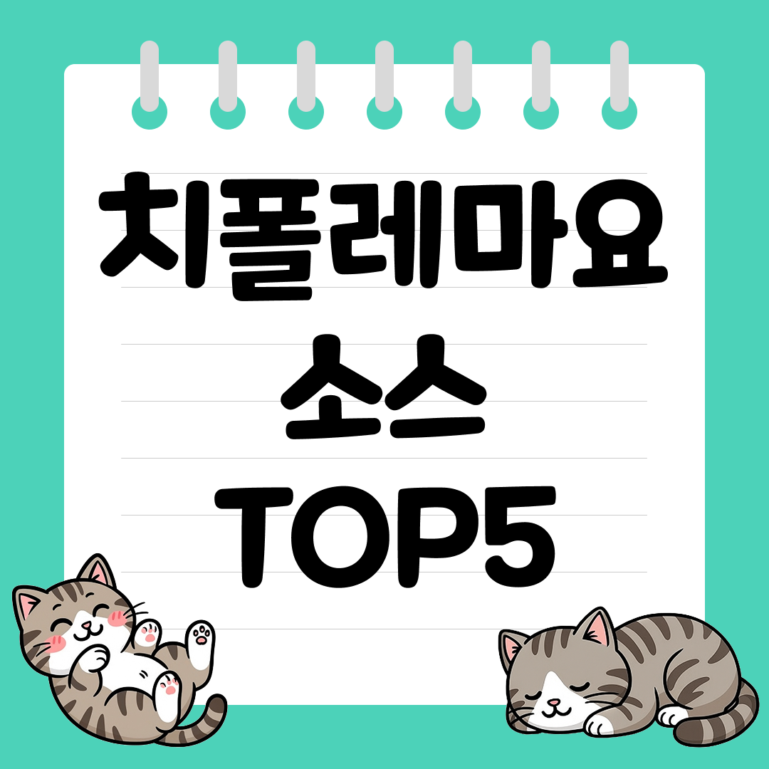 맛잘알들의 숨은 소스 치폴레마요 추천 순위 TOP5