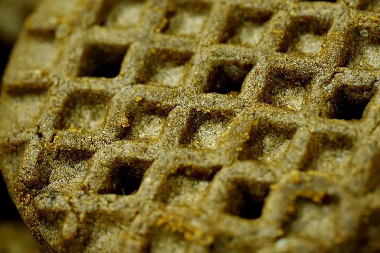 국비지원 무료교육 17