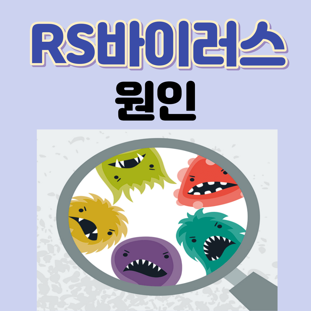 RS바이러스