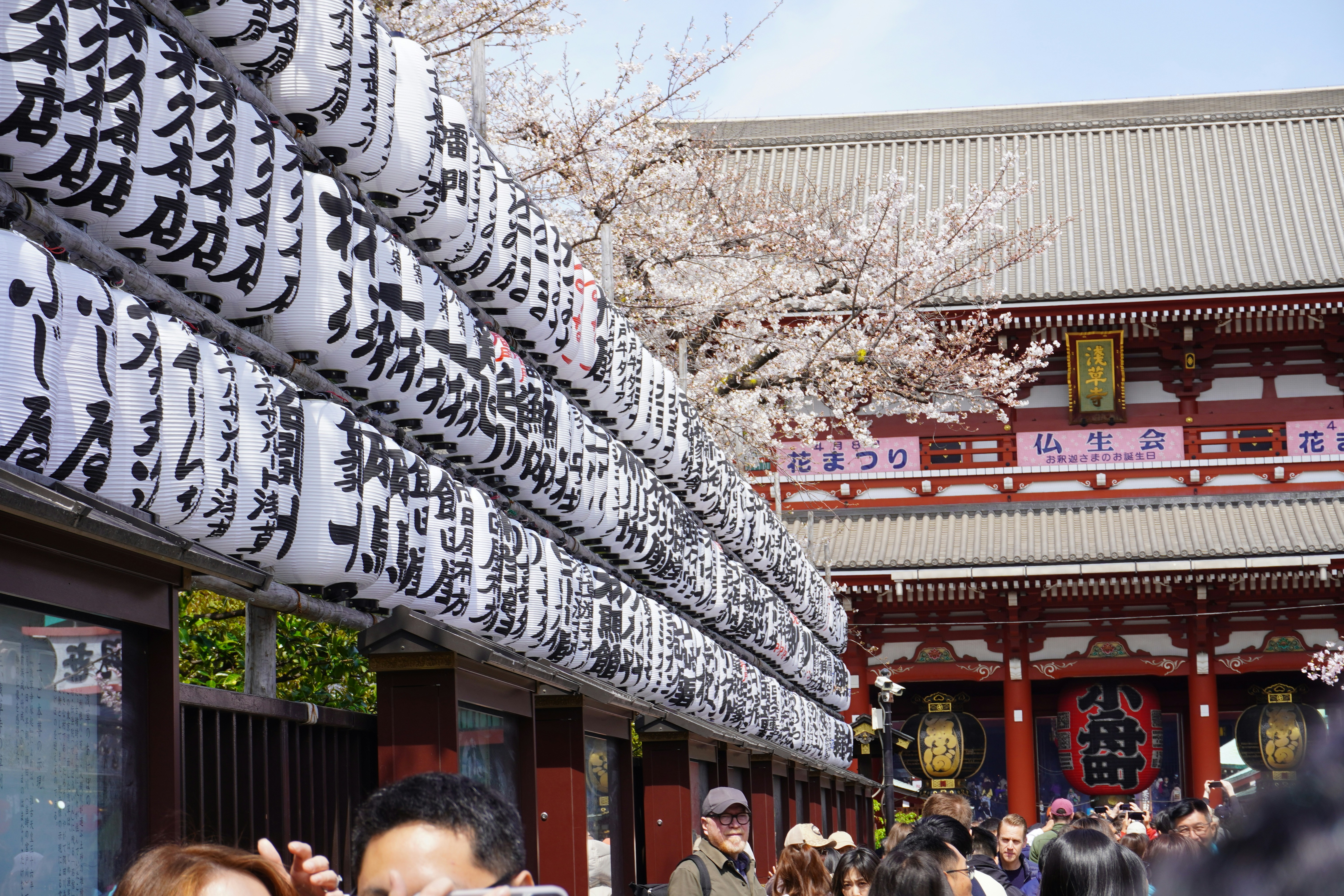 일본 여행 가이드: 온천&middot;축제&middot;쇼핑&middot;한정판 정복