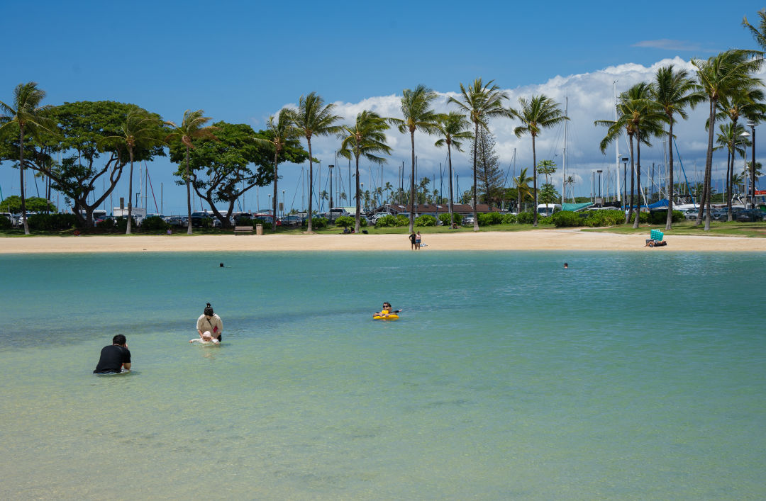 하와이 힐튼 호텔 라군 분위기