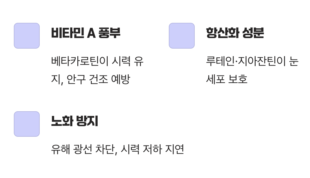 소중한 눈을 지키는 파수꾼