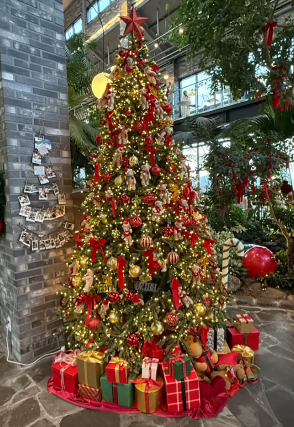 숲 속의 휴식처&amp;#44; 트리브링 (Treebring) 