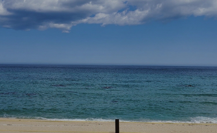 정동진 레일바이크