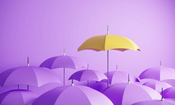 2025년 소액 대출 한눈에!