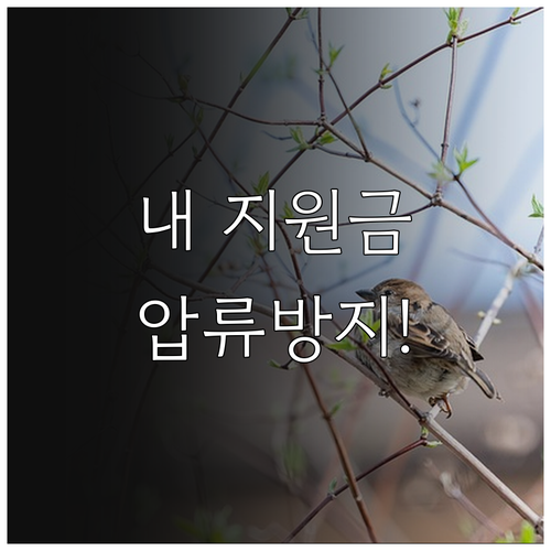 소중한 지원금 보호하는 행복지킴이통장..