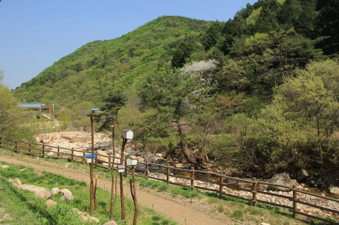 울산식물원-억새원