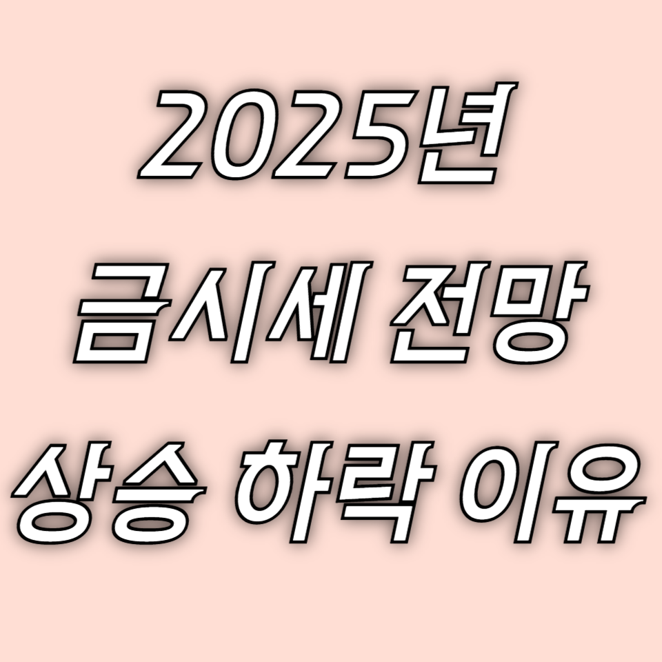 2025년 금시세 전망