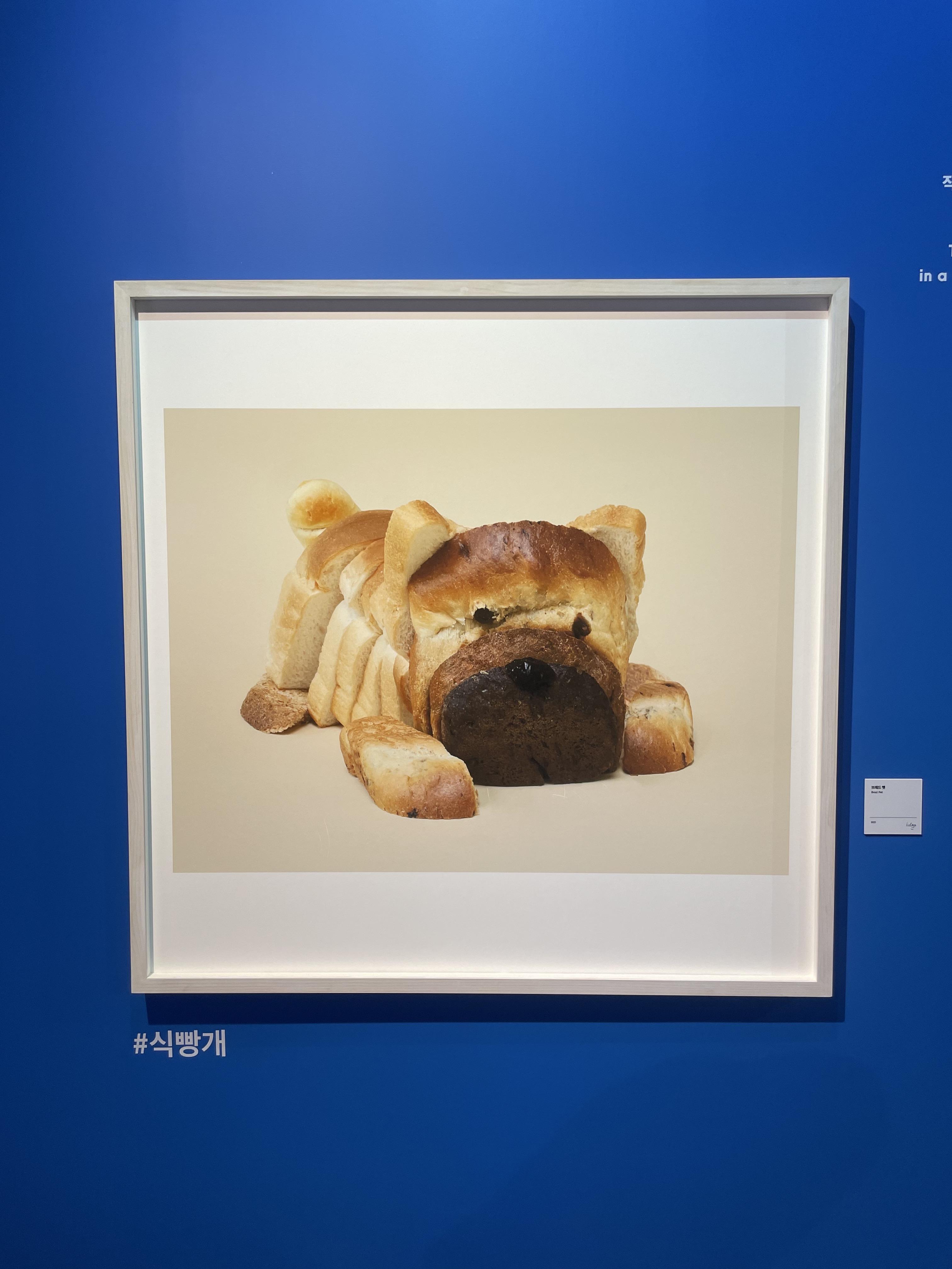 여수 아쿠아플라넷