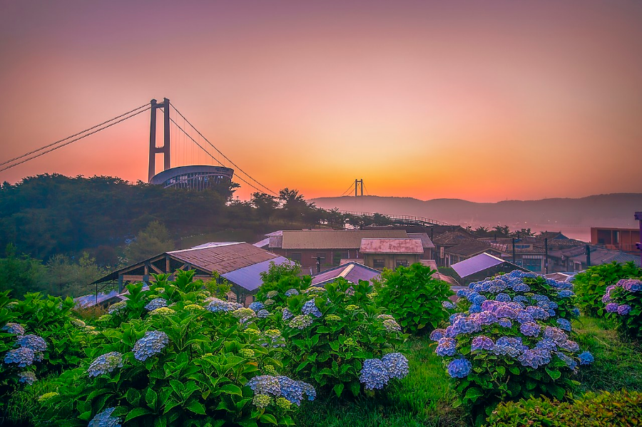 장생포 수국축제 울산