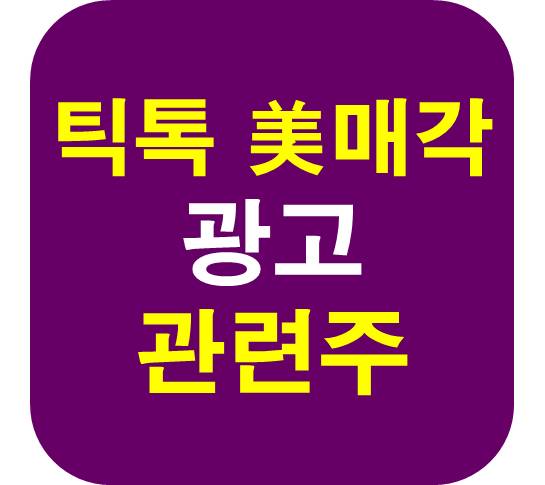틱톡 매각 광고 관련주