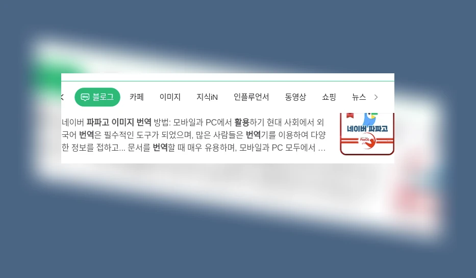 파파고 이미지 번역 활용 가이드_1_subsection