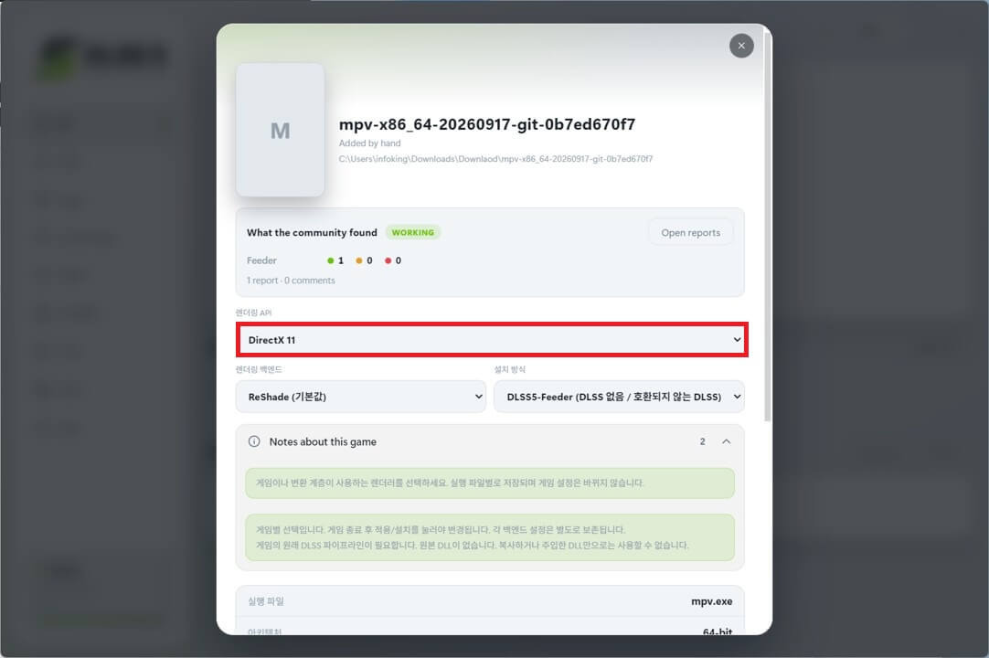 DLSS5 Swapper 렌더링 API DirectX 11 설정