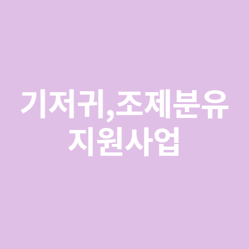 기저귀,조제분유 지원사업