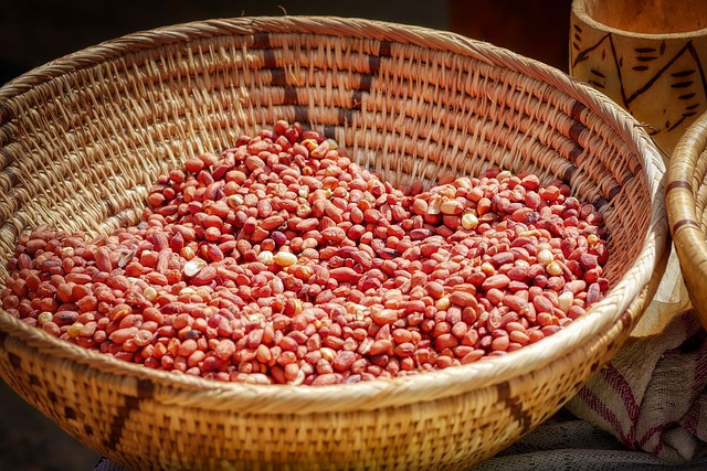 땅콩 북주는 시기