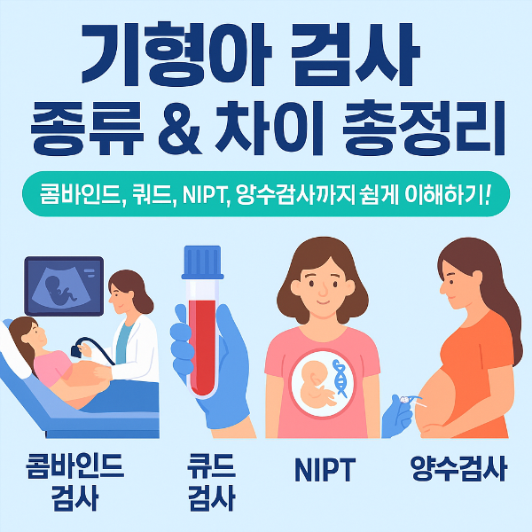 임신기간 병원에서 시행하는 기형아검사에 관해 정리했습니다. 투명목울대검사, 혈액검사, 양수검사, NIPT검사에 관해 정리했습니다.
