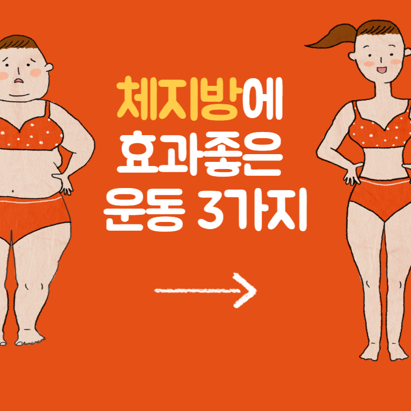 체지방에 좋은 운동