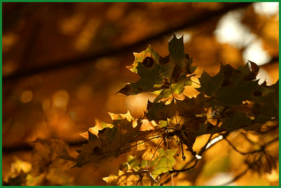 2024년 설악산의 단풍 절정 시기, 추천 코스