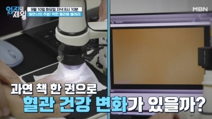 혈관건강