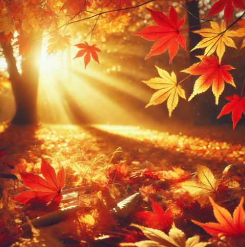 원주에서 유명한 여행지 추천