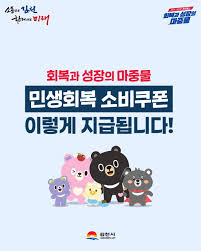 민생 소비 쿠폰, 어디서 못 쓰나요? (2025년 최신 기준)