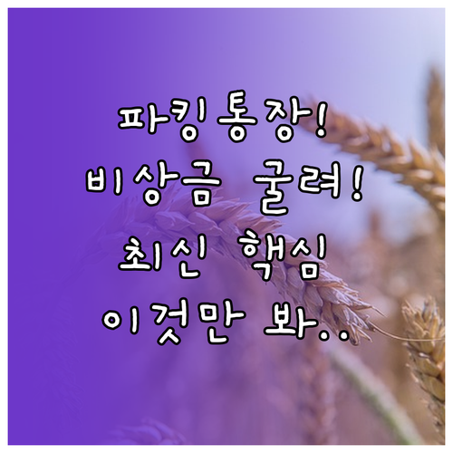 당신의 비상금을 일하는 돈으로 바꾸는..