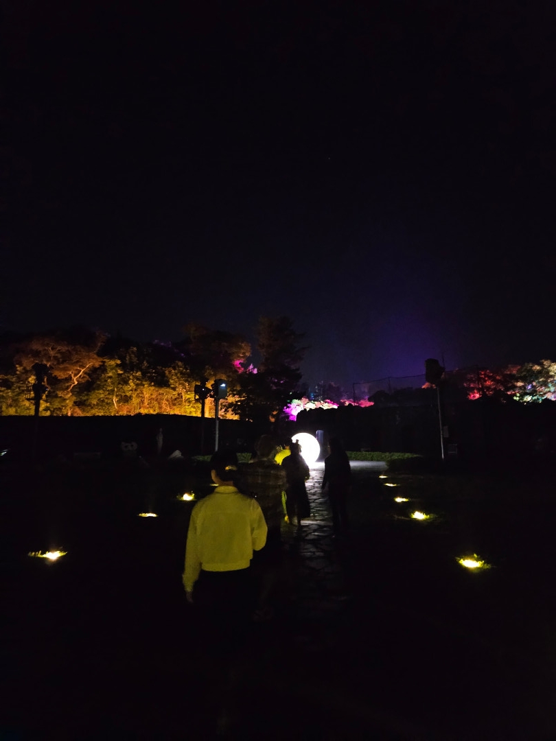 루나폴 미디어아트