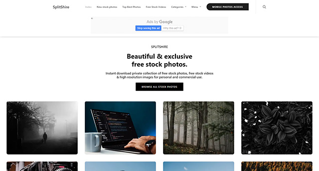 스플릿샤이어 사이트