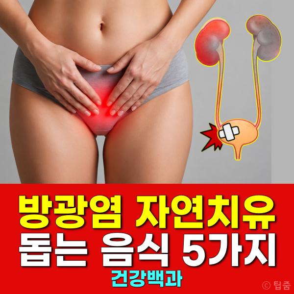 방광염 자연치유