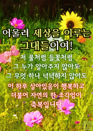 들꽃과 해바라기 배경의 중년 감성 시 이미지