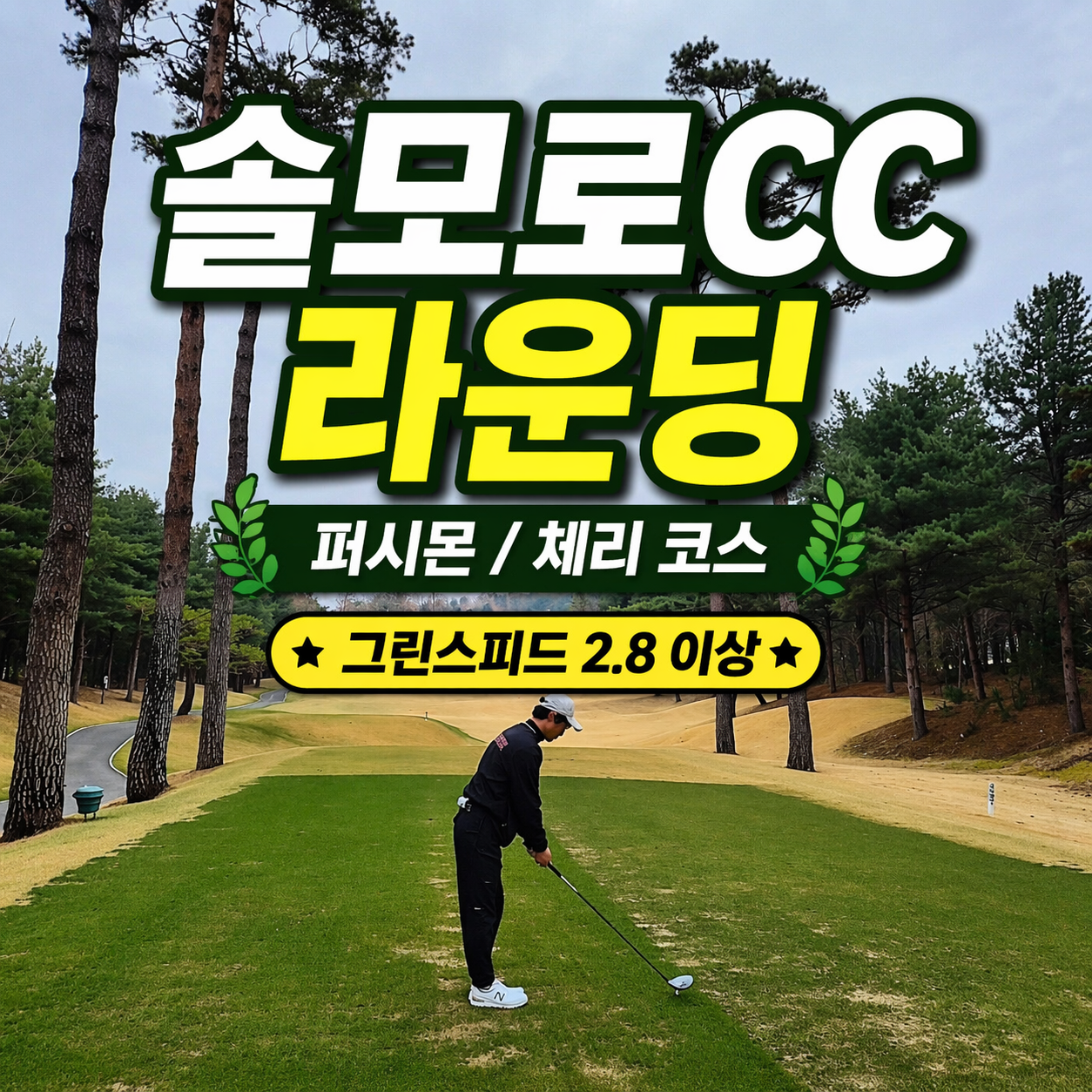 솔모로CC 라운딩 후기 퍼시몬 체리 코스와 그린 상태 최고