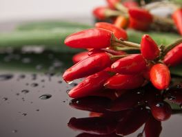 고추가루 보관법 고춧가루 유통기한