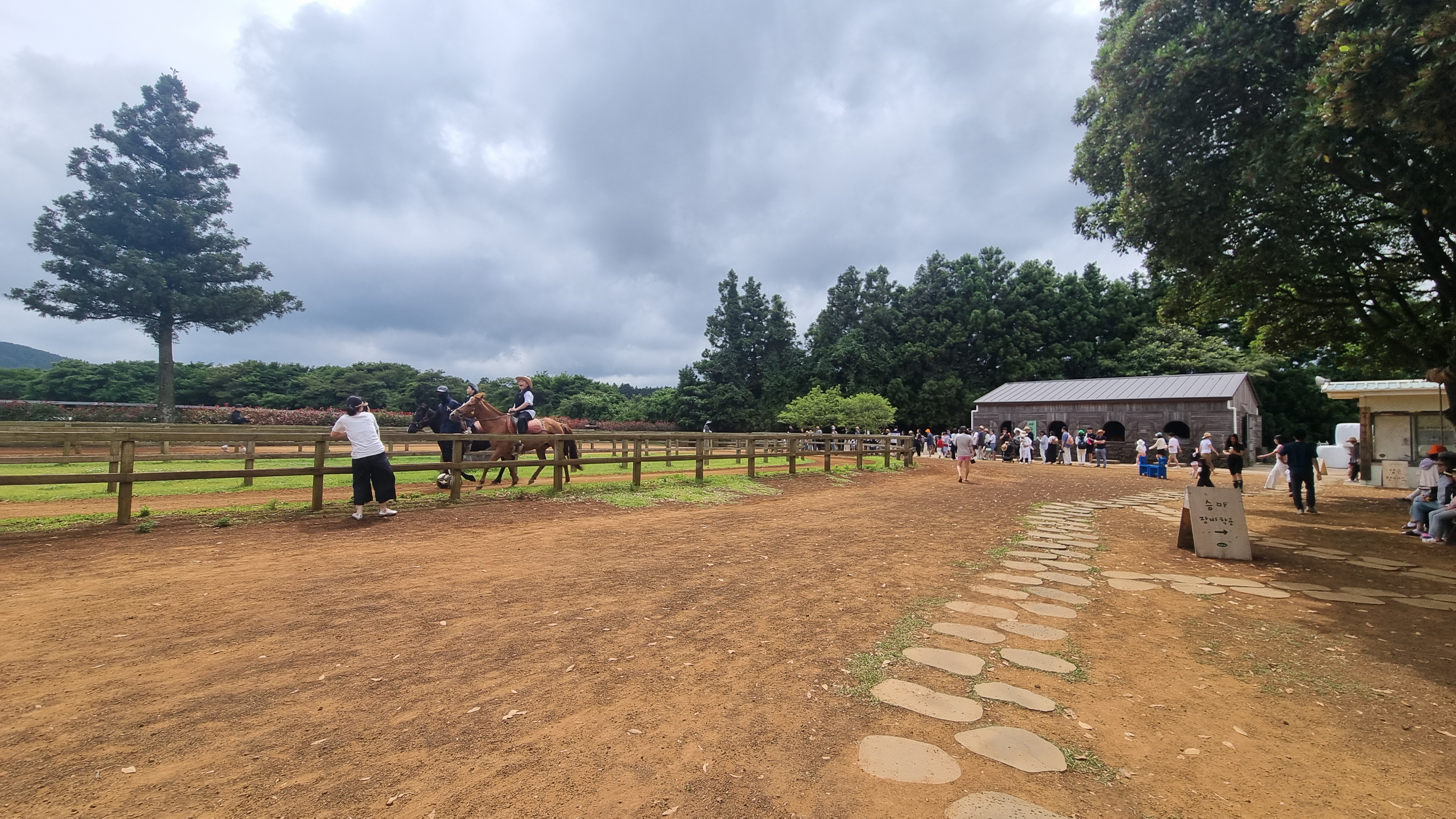 제주 목장카페 밭디