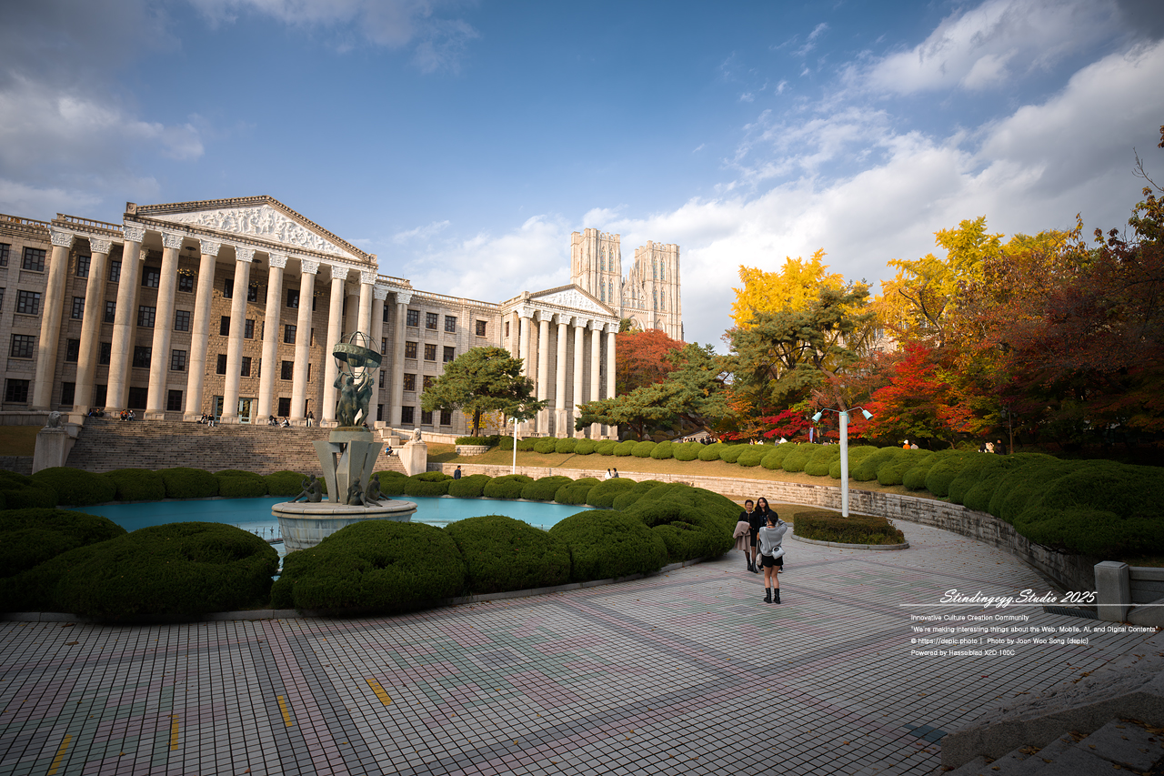 #서울 #경희대 #경희대학교 #단풍 #가을